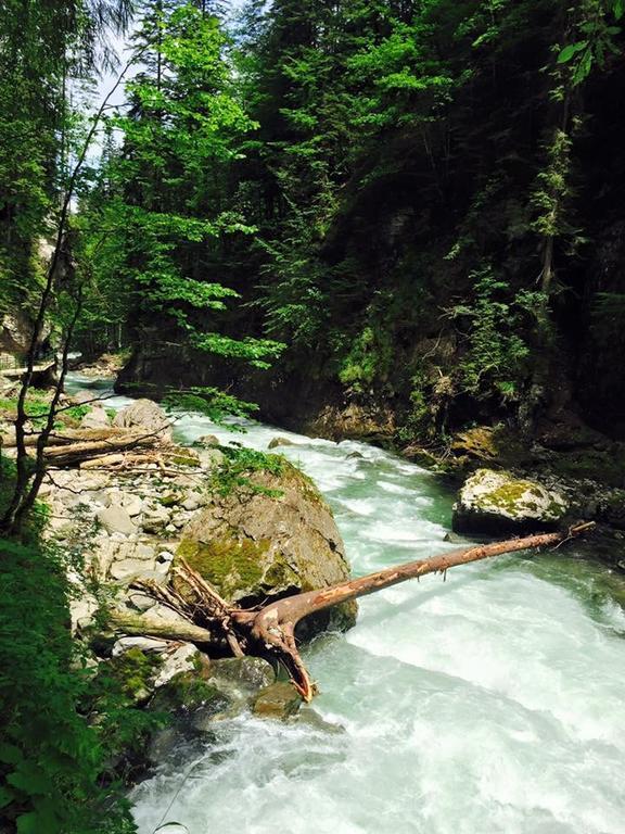 Hotel Garni Regina Oberstdorf Buitenkant foto