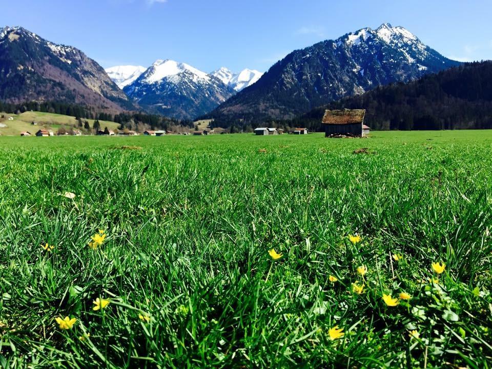 Hotel Garni Regina Oberstdorf Buitenkant foto