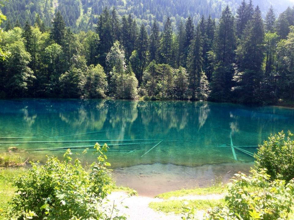 Hotel Garni Regina Oberstdorf Buitenkant foto